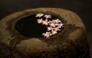 Stone pedestal fountain with orchids.